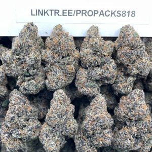 Cherry Pie X Y 🍒 #P447A 🎩