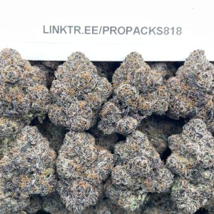 Citrus Sherbert 🍊 #V581C 🍧