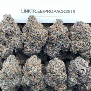 Citrus Velvet Cherries 🍊 #H391B 🍒