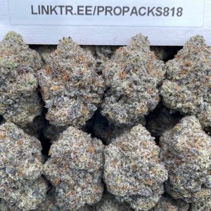 Cookie Stompers 🍪 #P490C ❌