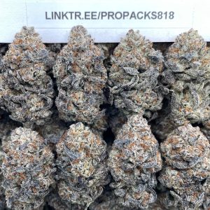 Frosted Guava Pieces 🧁 #H389C 🍈