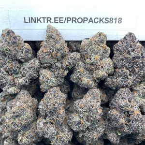 Gazzurple BX1 🔮 #P449C 🍒