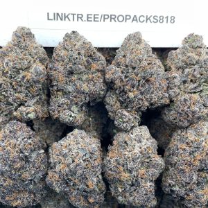 Gelato x Pink Champs 💞 #P434C 🍨