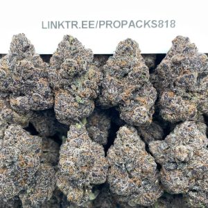 Glucchee Mochi 🥛 #V504A 🍡