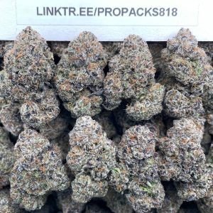 Gumbo Lollipops 🍭 #P477B 🍲