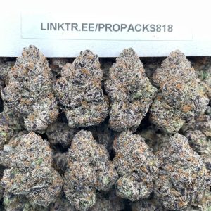 Gumbo Pressure 🚀 #P456A 🍲