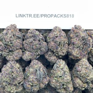 Ice Cream Royale 🍦 #P443A 🍧