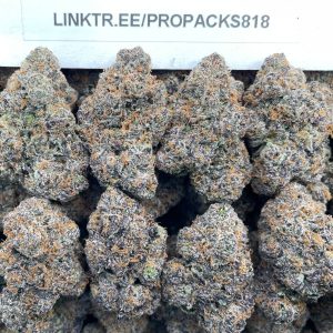 Iced Gelato Fruit Snax 🍉 #H379A 🍨