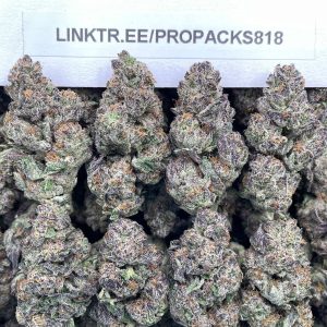 King Couture 🍭#P442C 👑