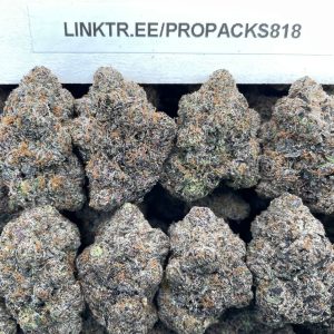 Mochilato Smoothie 🥤 #V559A 🍡