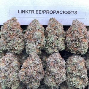 Platinum Berry Pez 🍬 #H398A 🥈