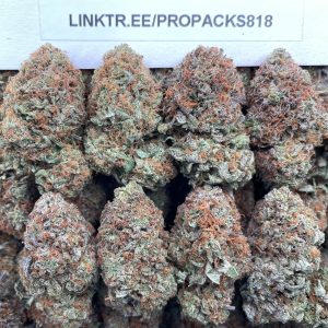 Platinum Cherry Frost 🍒 #V505C 🥈