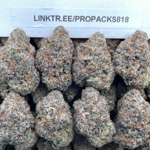 Pressure Cookies 💥 #V544A 🍪