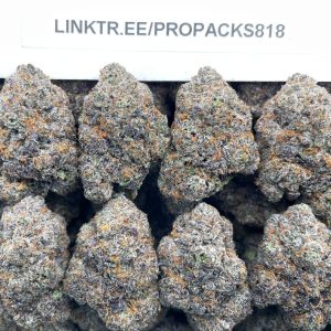 Purple Velvet Mochi 🔮 #H354A 🍡