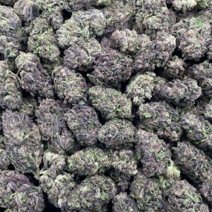 Raspberry Runtz 🍇 #P414A 🎩