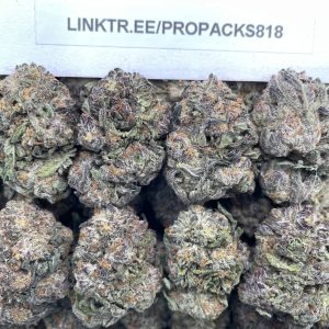 Royal Gelato King 🎲 #P441B 👑