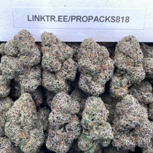 Sherbert Reserve No11 🍧 #P496B 🍨