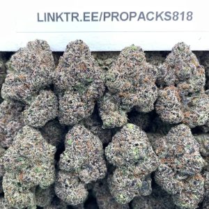 Super Cherry Gelato 🏆 #P497C 🍨