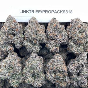 Superior Bolo Runtz 🍇 #H324B 🎩