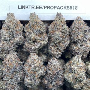 Velvet Sugar Cookies 💠 #P473C 🍪