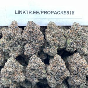 Wawa Gelato 🍉 #V538C 🍨